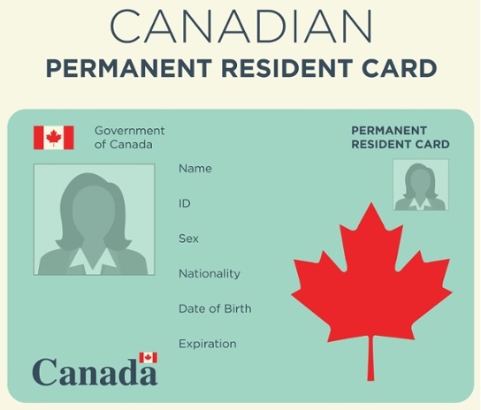 canada startup visa business plan sample