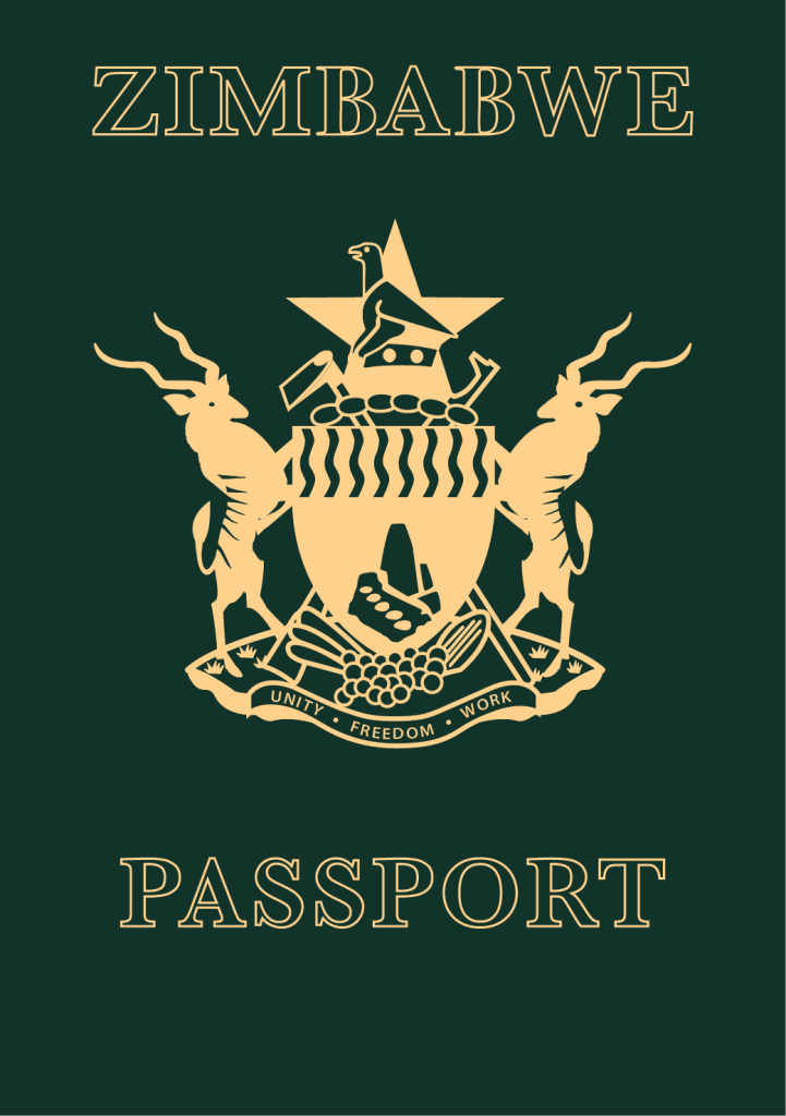 Zimbabwe visual data 4