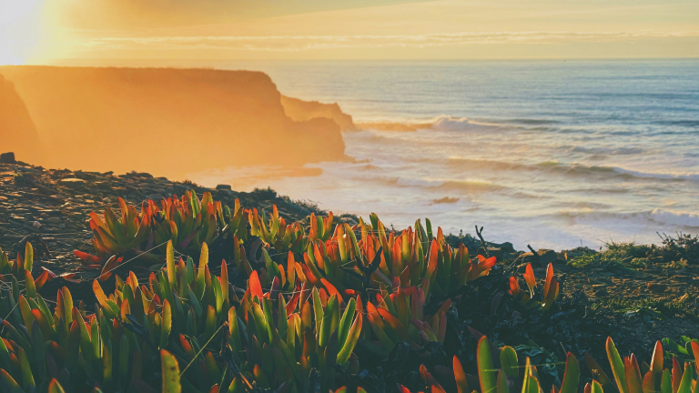 Latest Updates on Portugal Golden Visa: New Measures to Address The Pending Applications