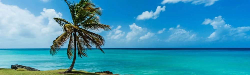 barbados-tax-haven barbados-tax-haven