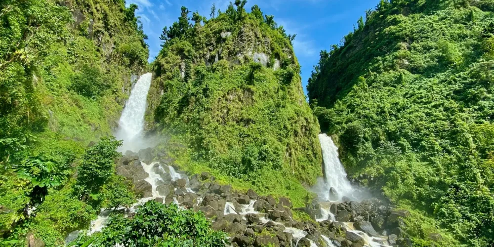 crime-rates-dominica crime-rates-dominica