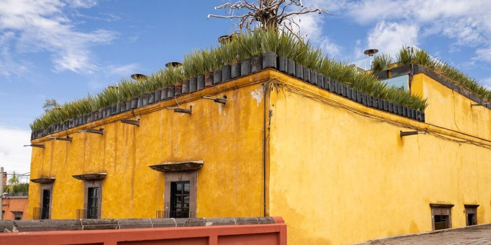 dual-citizenship-mexico-cost Dual citizenship Mexico cost