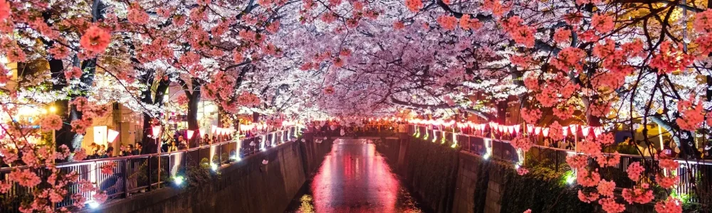 japan-digital-nomad-visa-cost Japan Digital Nomad Visa Cost