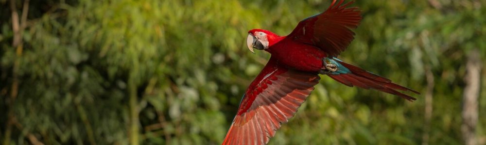 Costa Rica